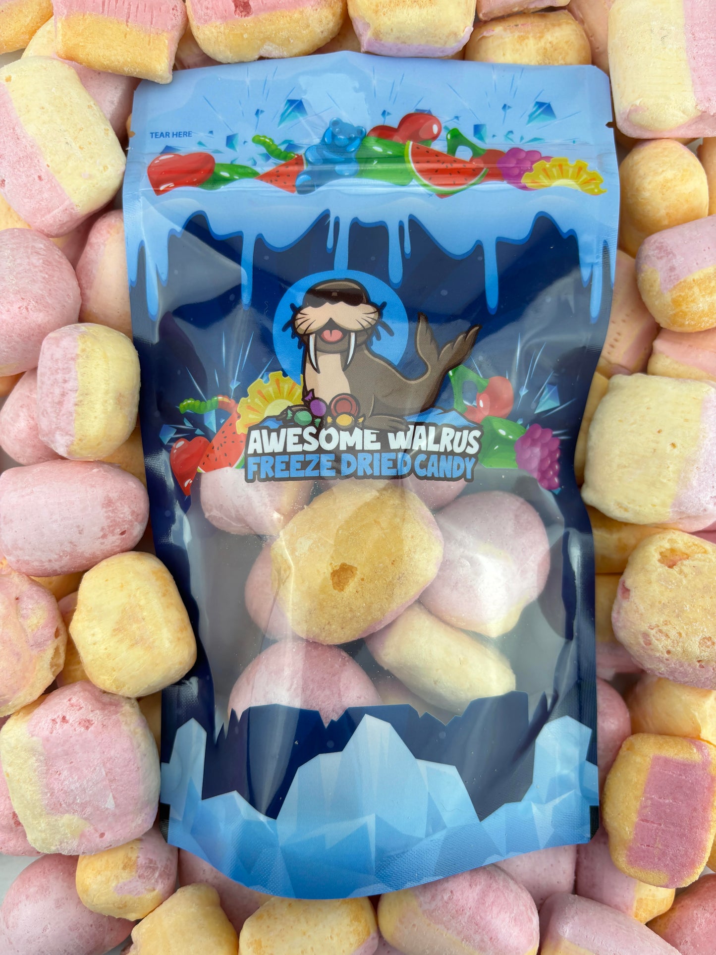 Fruit Salads Freeze Dried
