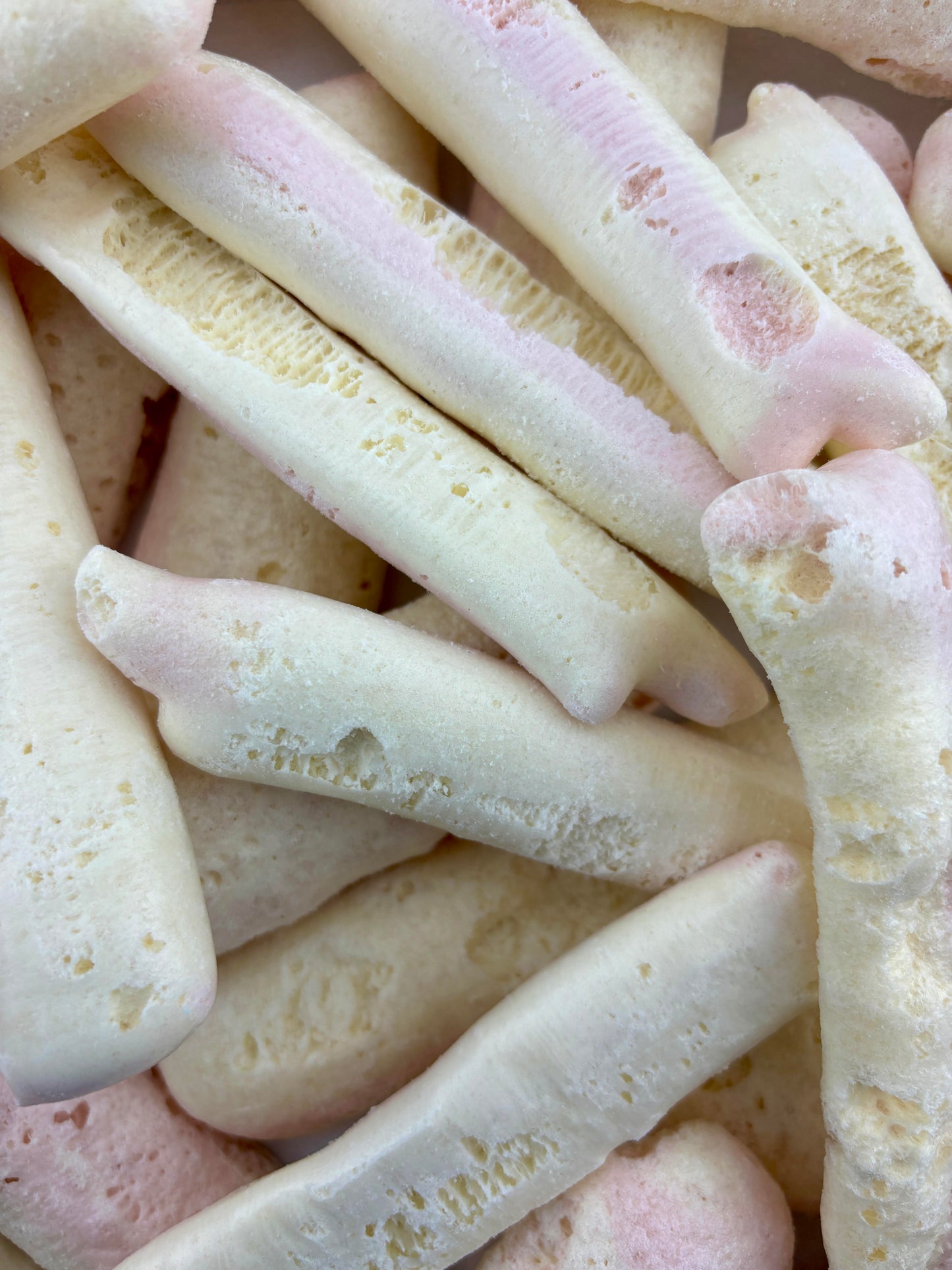 Drumstick Bars Freeze Dried